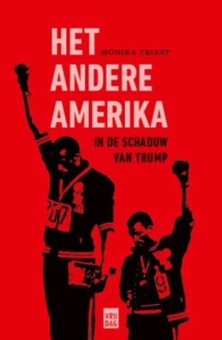 Cover van boek Het andere Amerika, in de schaduw van Trump