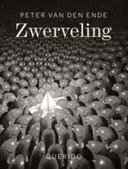 Cover van boek Zwerveling