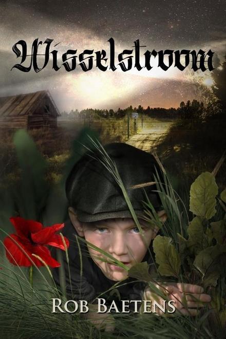 Cover van boek Wisselstroom