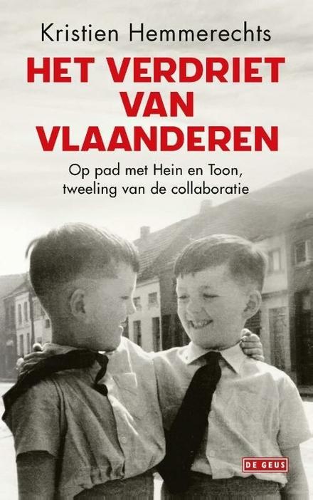 Cover van boek Het verdriet van Vlaanderen
