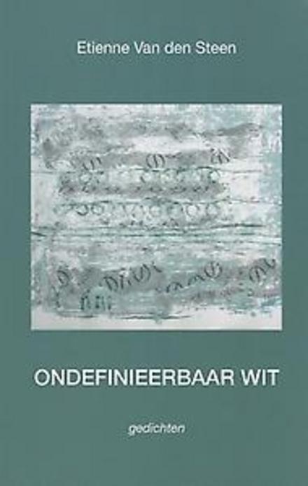 Cover van boek Ondefinieerbaar Wit